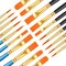 20 Pcs Paint Brush Set for Acrylic Painting, Watercolor, Miniature Detailing, and Rock Painting